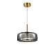 Подвесной светодиодный светильник MyFar Charlie MR2131-1PL