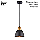 Подвесной светильник Arte Lamp Eurica A4245SP-1BK