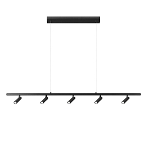 Подвесной светильник Loft IT Sign 10260/5 Black