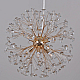 Подвесной светильник ILLUMICO IL5006-8PPA-26 GD BOND