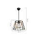 Подвесной светильник Toplight Georgiana TL1607H-01BK