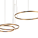 Подвесной светодиодный светильник Loft IT Ring 10017/3L