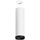 Подвесной светильник Lightstar Rullo RP64963487 (216496+590086+203487)