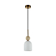 Подвесной светильник Odeon Light Lolla Midcent 6625/1B