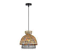Подвесной светильник Arte Lamp Woodstock A7070SP-1BK