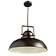 Подвесной светильник Arte Lamp Martin A5213SP-1BR
