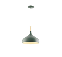 Подвесной светильник Moderli Eline V11445-1P