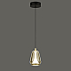 Подвесной светильник Delight Collection MD24001011-1A brass/champagne