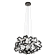 Подвесной светильник Loft IT Clizia 10231/530 Black