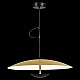 Подвесной светодиодный светильник ST Luce ARMONICO SL6502.213.01