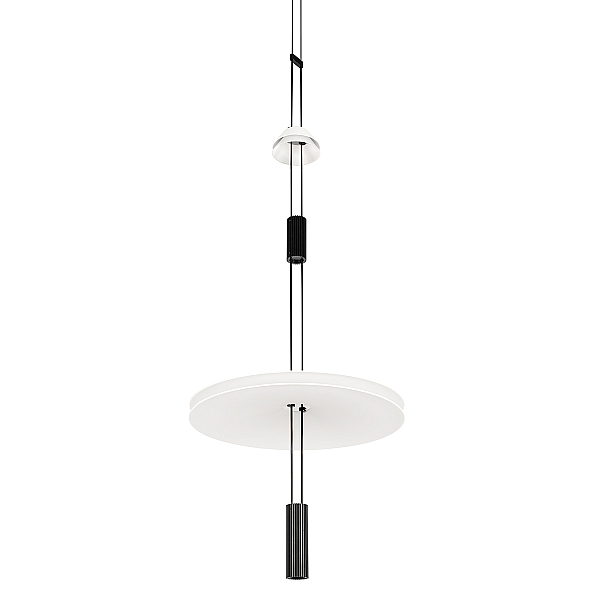 Подвесной светильник Loft IT Flamingo 10598B
