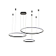 Подвесной светильник Zortes RINGOLIGHT ZRS.33321.75F