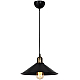 Подвесной светильник Toplight Delilah TL1606H-01BK