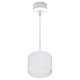 Подвесной светильник Reluce 53006-0.9-001LD GX53 WT
