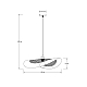 Подвесной светильник Arte Lamp WOODSTOCK A7059SP-1BK