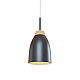 Подвесной светильник Loft IT Watchman Loft4402A-Bl