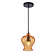 Подвесной светильник Arte Lamp 25 A8127SP-1AM