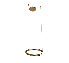 Подвесной светодиодный светильник Loft IT Ring 10013S