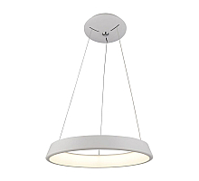 Подвесной светодиодный светильник Arte Lamp A6250SP-1WH