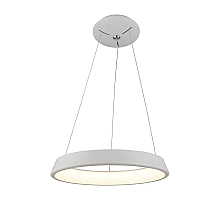 Подвесной светодиодный светильник Arte Lamp A6250SP-1WH