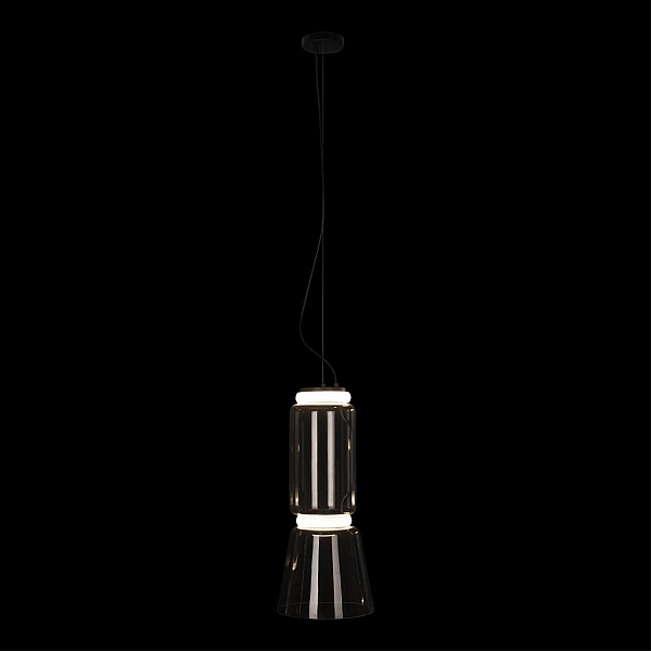 Подвесной светодиодный светильник Loft IT Noctambule 10193/S