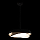 Подвесная люстра Loft IT Petale 10256P Black