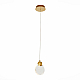 Подвесной светодиодный светильник ST Luce Montecelio SL6104.203.01