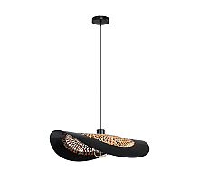 Подвесной светильник Arte Lamp Woodstock A7059SP-1BK
