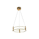 Подвесной светильник Zortes RINGER ZRS.57792.76