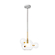 Подвесной светильник Loft IT Bolle 2027-P4 mini