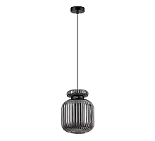 Подвесной светильник Odeon Light Jugi 5042/1B