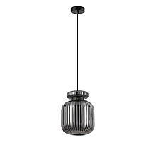 Подвесной светильник Odeon Light Jugi 5042/1B