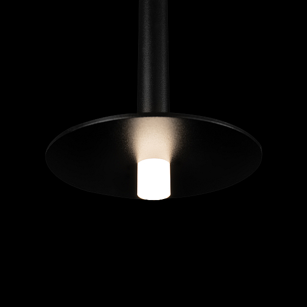 Подвесной светодиодный светильник Loft IT Reed 10358/830 Disk