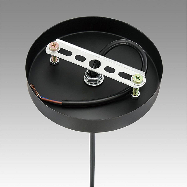 Светильник подвесной Lumion Suspentioni 8056/1A