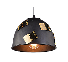 Подвесной светильник Arte Lamp Eurica A6023SP-1BK