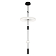 Подвесной светильник Loft IT Flamingo 10598C