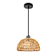 Подвесной светильник Arte Lamp Brushwood A7086SP-1BK