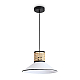 Подвесной светильник Freya Mixture FR5483PL-01B3