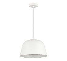 Подвесной светильник Evoluce Blank SLE1805-503-01