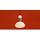 Подвесной светильник Freya Modern Globo FR5628PL-01BGW1