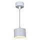 Подвесной светильник Reluce 53006-0.9-001LD GX53 WT