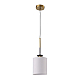 Подвесной светильник ST Luce Veritas SL1404.303.01
