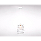 Подвесной светильник Ambrella light Traditional TR8400