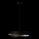 Подвесная люстра Loft IT Petale 10256P Black