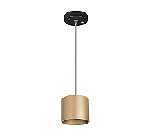 Подвесной светильник Lightstar Rullo (213490+590087) RP3490