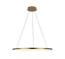 Подвесной светодиодный светильник Loft IT Ring 10014L