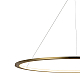 Подвесной светодиодный светильник Loft IT Ring 10014XXL