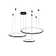 Подвесной светильник Zortes RINGOLIGHT ZRS.33320.120F
