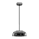 Подвесной светодиодный светильник Loft IT Disk 8210-P Grey