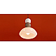 Подвесной светильник Freya Modern Globo FR5628PL-01BGW1
